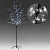 LED Lighted Blossom Tree Christmas