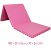 ZERRO Pink / Rosy Red Foldable Gymnastics Mat