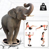 ZERRO Balance Board Wooden