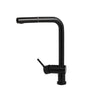 Kitchen Sink Mixer Tap with 360 Degree Swivel Spout