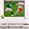 Projector Screen without stand