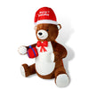 Self Inflating LED Plush Bear