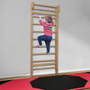 ZERRO Black&Rosy Red Foldable Gymnastics Mat