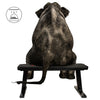 ZERRO Weight Flat Bench