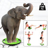 ZERRO Balance Board Plastic