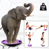 ZERRO Balance Board Plastic