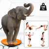 ZERRO Balance Board Plastic