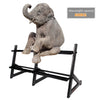 ZERRO Bell Bed Dumbbell Weight Rack