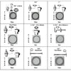 Seal Ring Washer Assortment for Sanitary 141 pcs