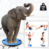 ZERRO Balance Board Plastic