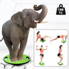 ZERRO Balance Board Plastic